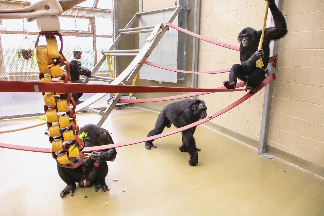 Retired firehoses as climbing equipment inside the facility