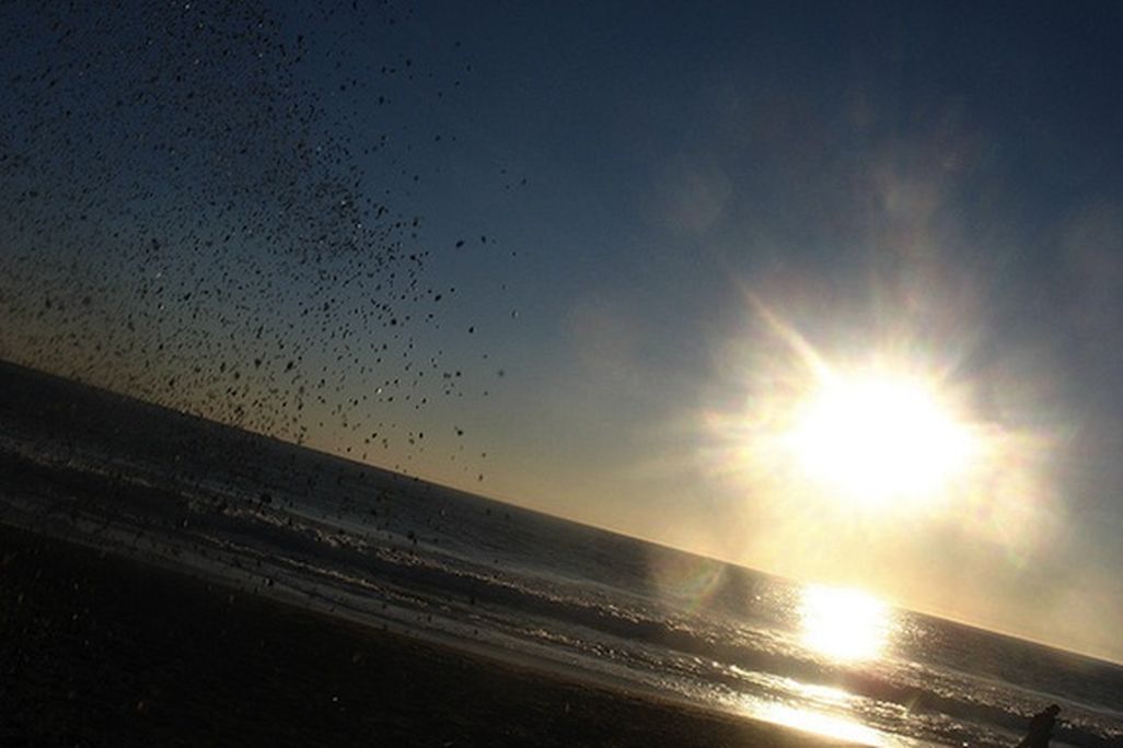 20121106114018sun-rise.jpg