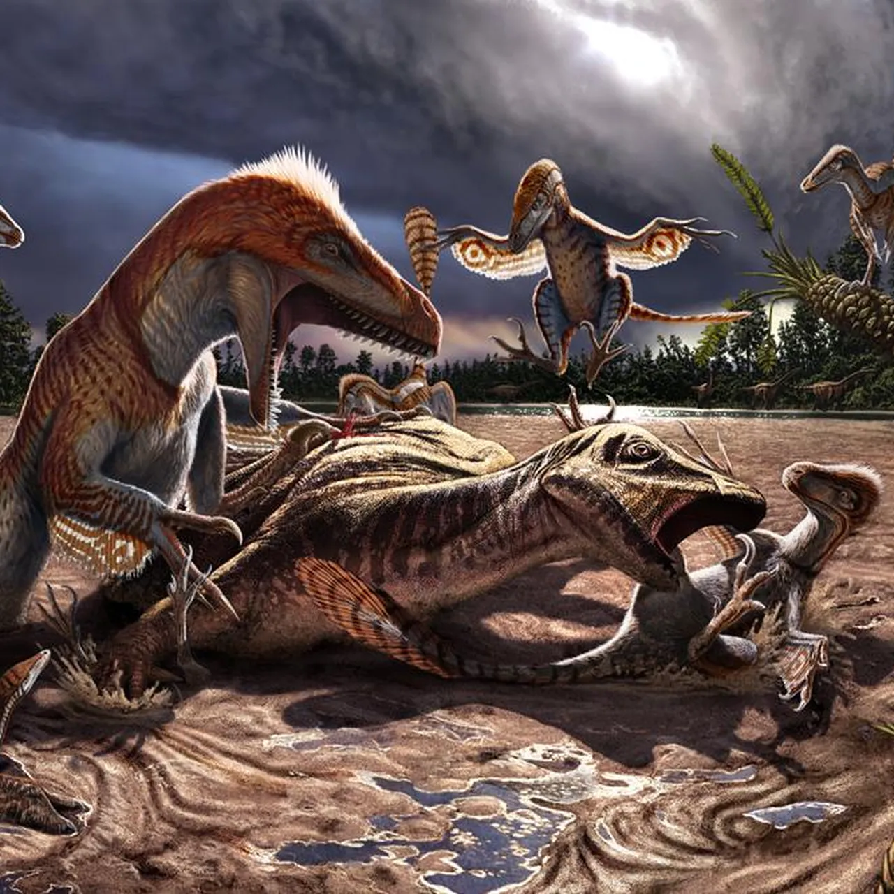 Different Types Of Raptors