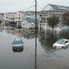 A Shark Was Spotted Swimming Through the Flooded Streets of New Jersey During the Nor'easter icon