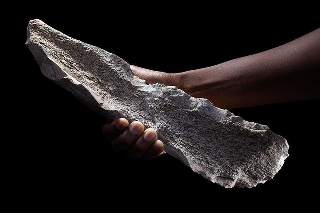 Bone tool shaped on a 1.5-million-year-old elephant humerus.