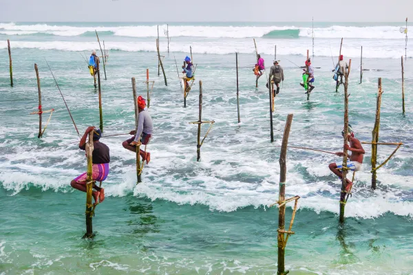 Stilt Fishing thumbnail