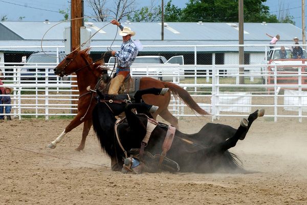 Just Another Day At the Rodeo thumbnail