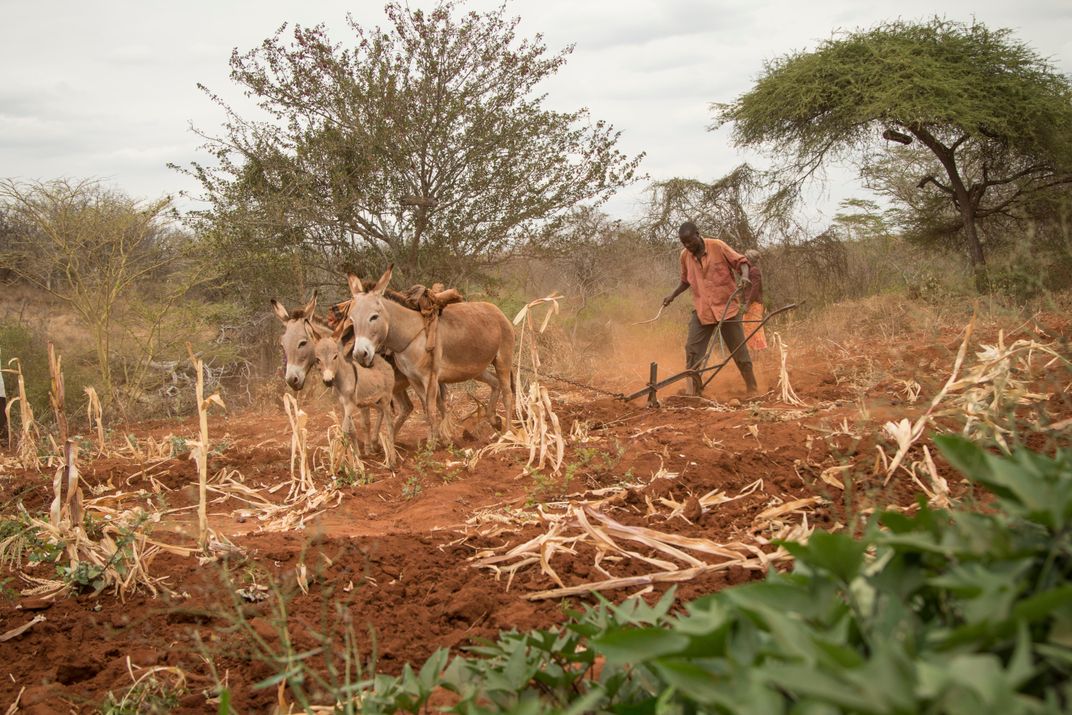 How Climate Change is Fueling Innovation in Kenya