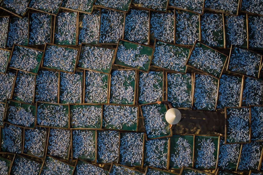 Sardine Drying Racks, Vietnam | Smithsonian Photo Contest | Smithsonian ...