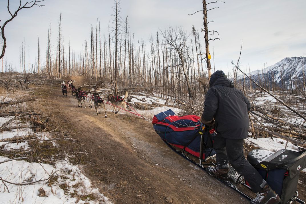 Seven Ways Alaska Is Seeing Climate Change In Action