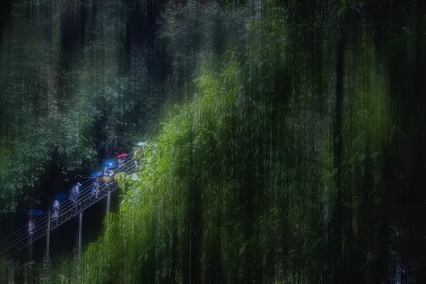 Drizzling Rain in Butterfly Valley thumbnail