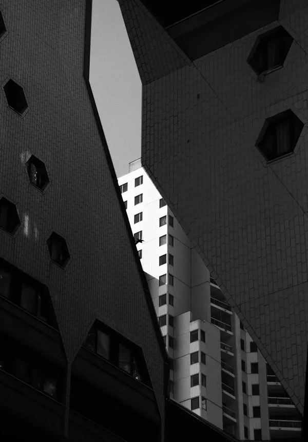 The Parisian Hidden Facade thumbnail