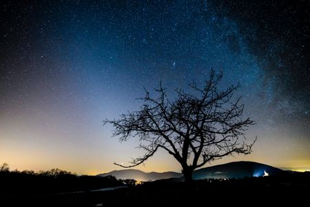 The zodiacal light.