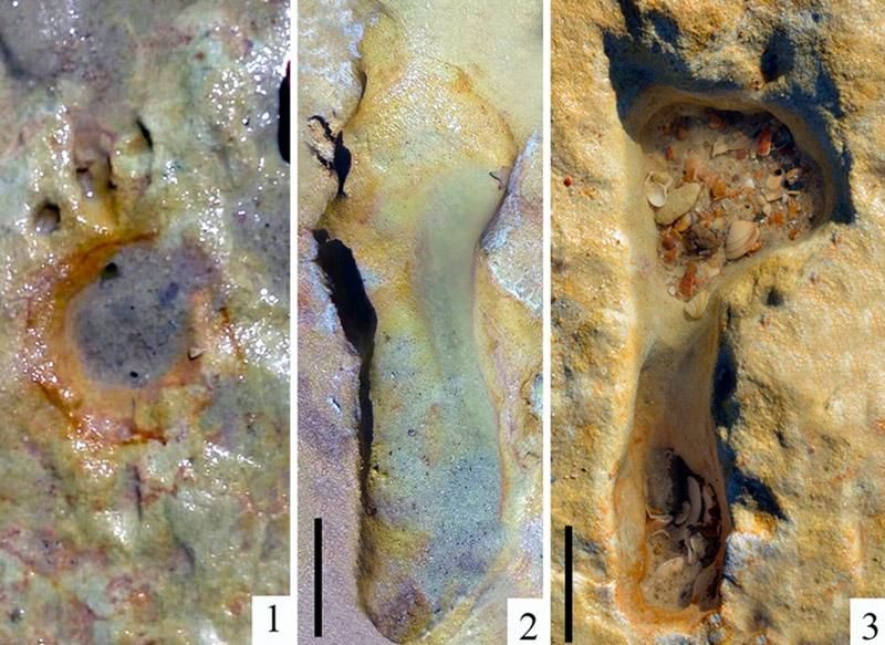 Fossilized Neanderthal footprint