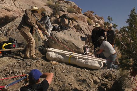 The fossil is more than six-and-half feet long and, once it had been wrapped in a protective “jacket” and affixed to two pieces of wood, weighed nearly 1,000 pounds. 