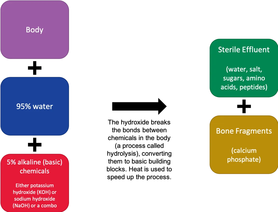 Could Water Cremation Become the New American Way of Death?