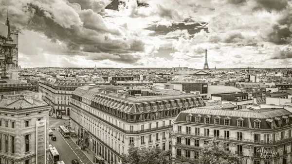 Paris from the Rooftops thumbnail