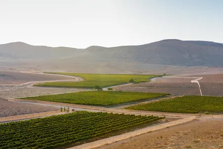 Green patches of Nana Estate Winery in the arid desert. 
