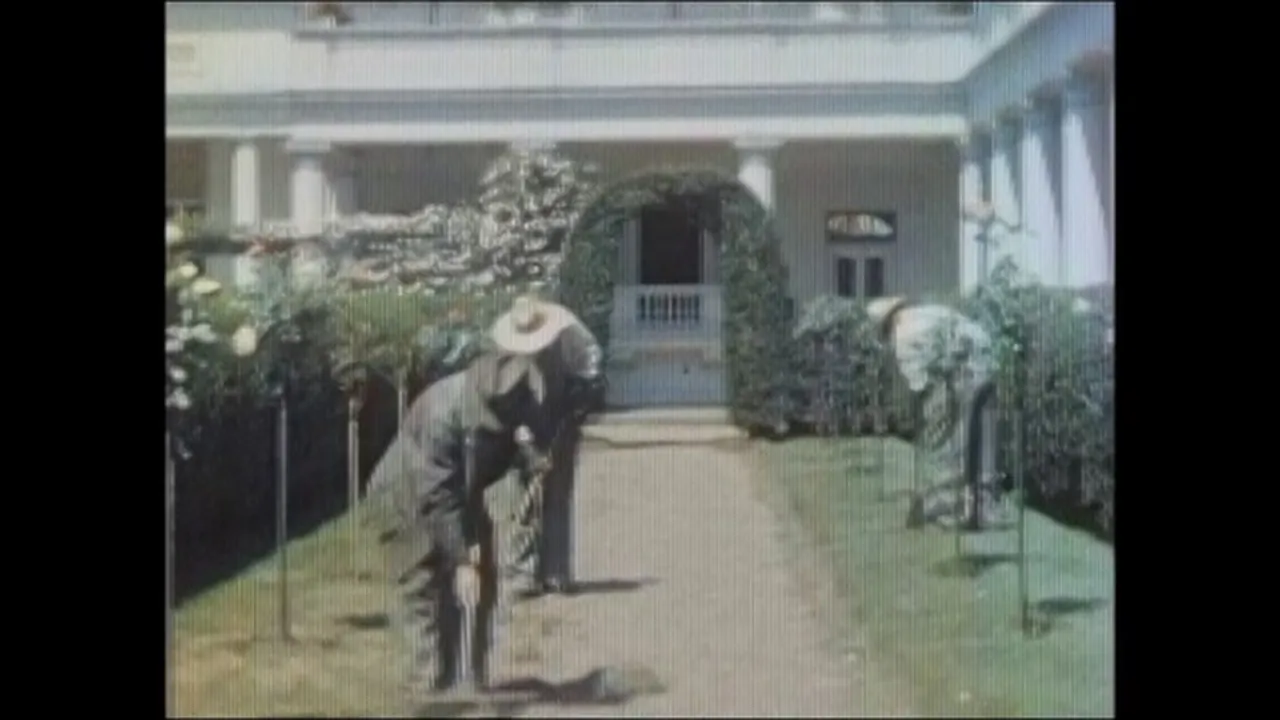 Preview thumbnail for Alonzo Gardeners
