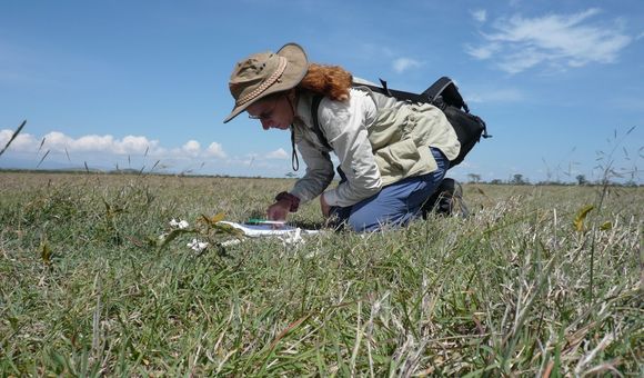 A person using a notebook while kneeling in grass on a sunny day in Kenya.