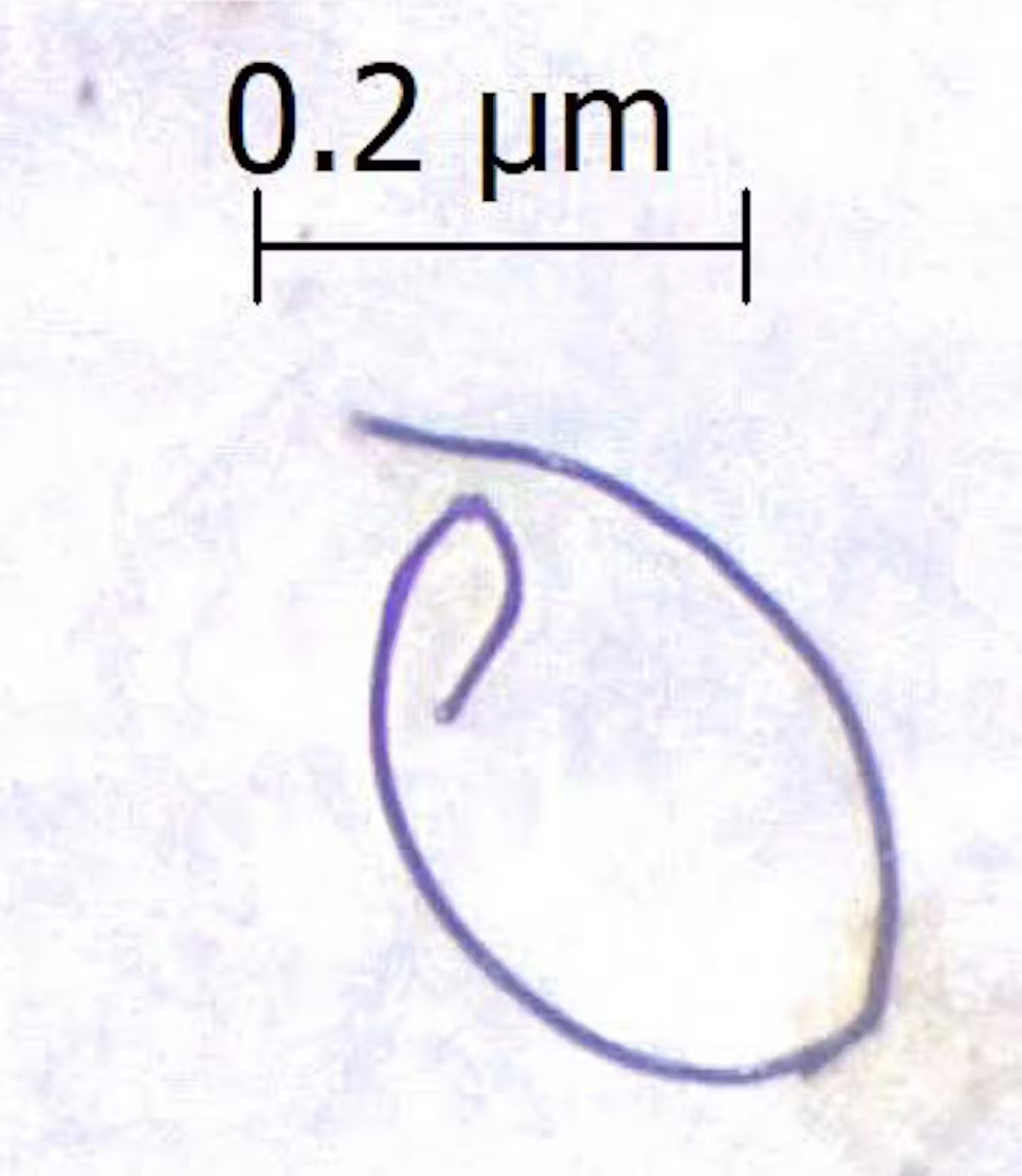 a microplastic