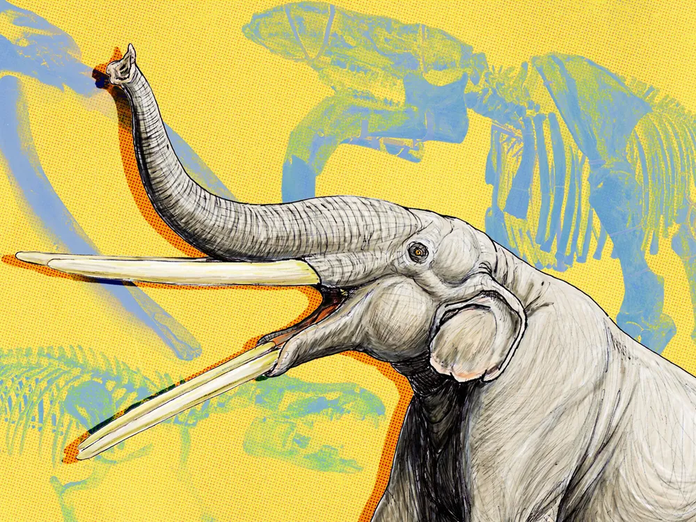 Ancient Elephant Illustration With Fossils