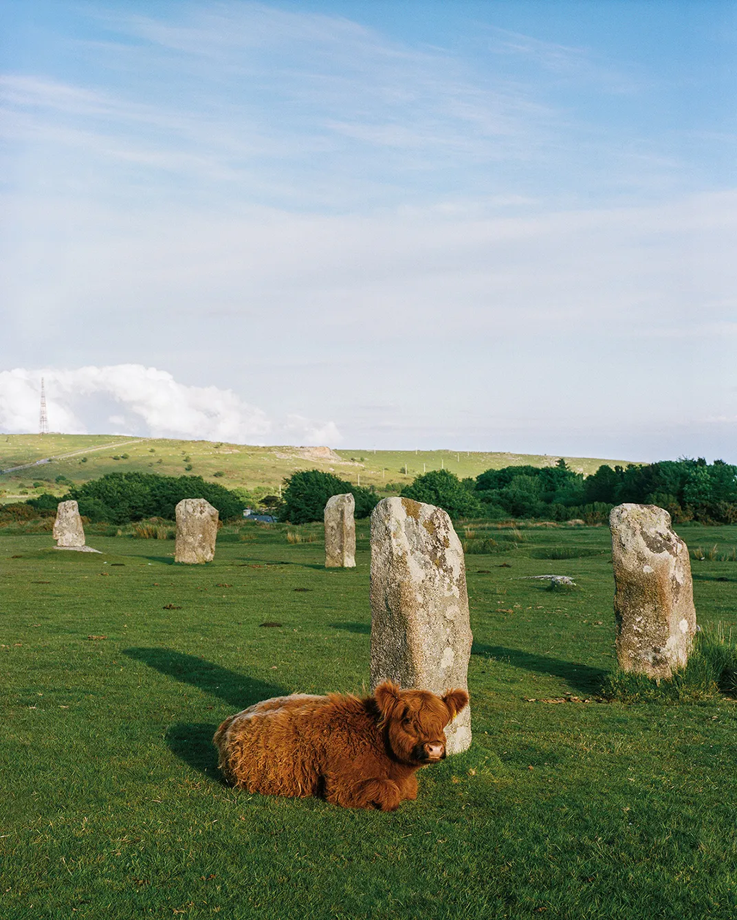 Prehistoric grouping of stones