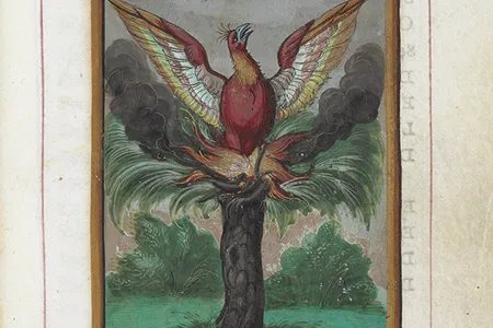 Guy de la Garde, L'Histoire et description du Phoenix, 1550