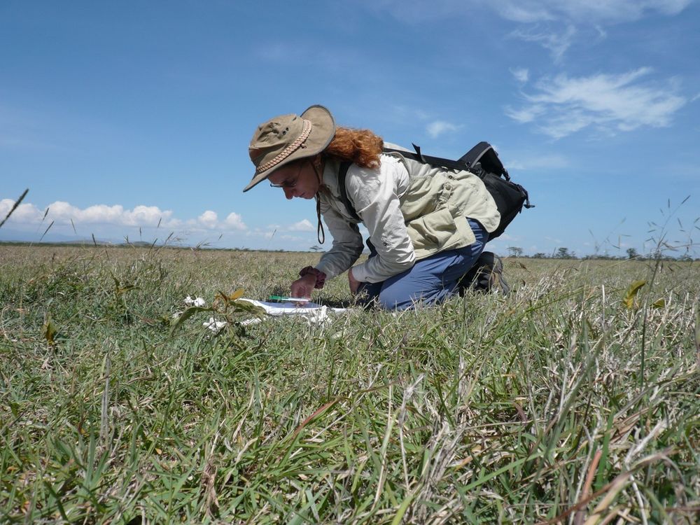 A person using a notebook while kneeling in grass on a sunny day in Kenya.