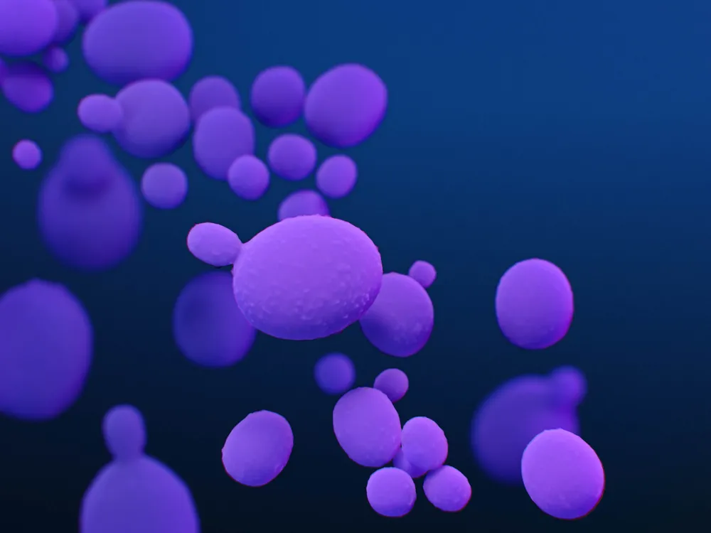 Big purple blobs floating against dark background