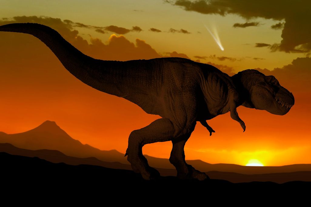 dinosaur silhouette