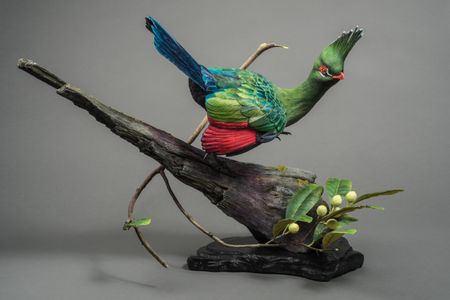 Last year's winner in the World Championship 
Wildfowl Carving Competition's Decorative Lifesize Wildfowl category, "Livingstone's Turaco" by Thomas Horn.
