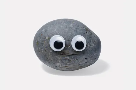 A googly-eyed rock is among the items up for grabs.