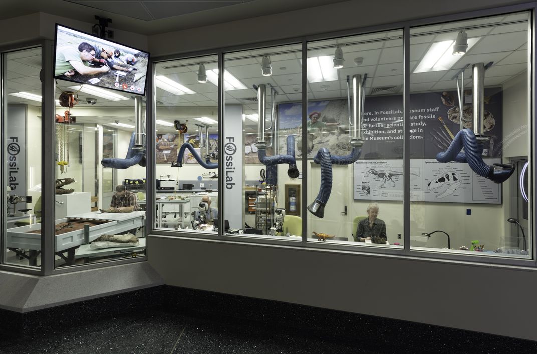 A laboratory enclosed by glass windows at the Smithsonian's National Museum of Natural History allows visitors to watch a team of volunteers prepare real fossils for display or storage.