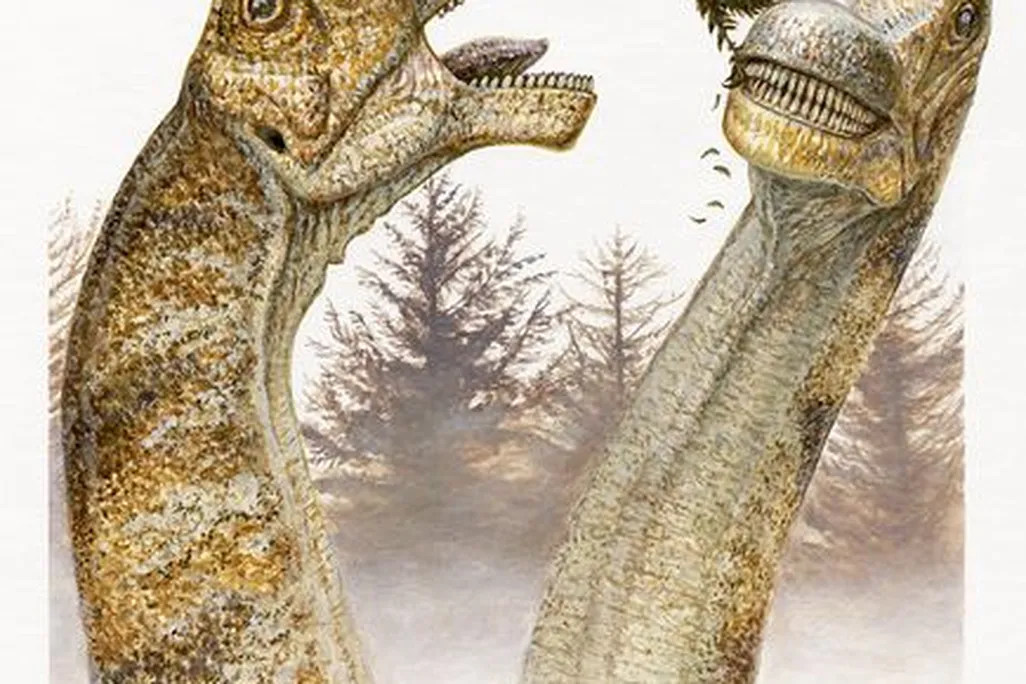 20110520083307Abydosaurus-confier.jpg