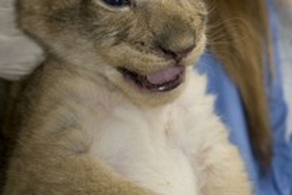 201105201106275057423324_d9aab08b92_b-203x300.jpg