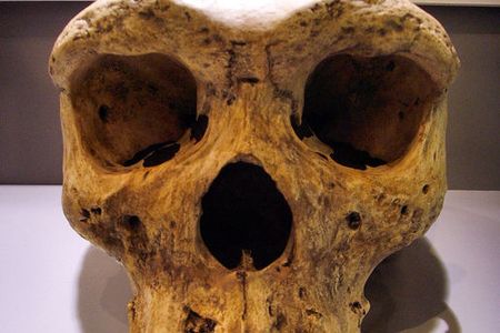 In 1921, a miner found Kabwe 1, also called the Broken Hill Skull.