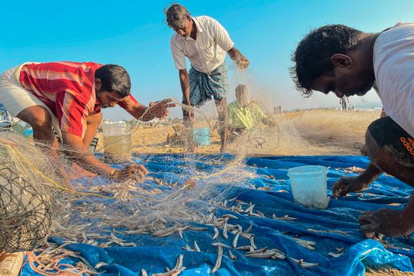 Fishermen sorting their catch, on Marina beach, Chennai thumbnail