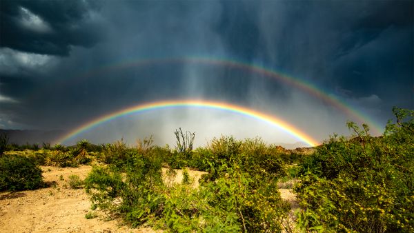 Double Rainbow Over Ocotillo Mesa thumbnail