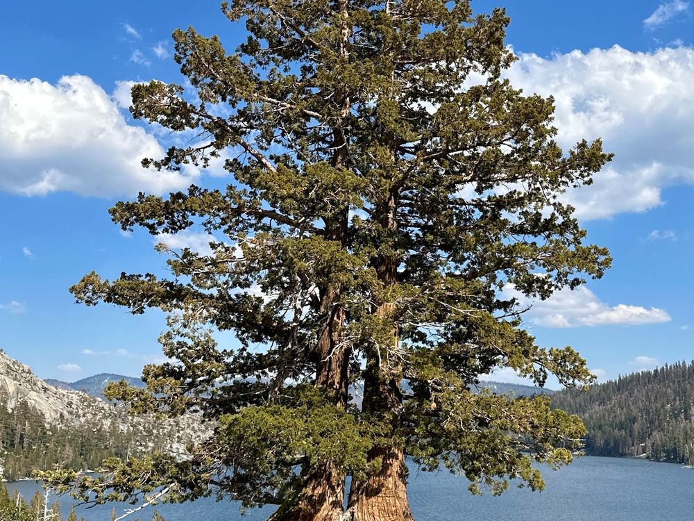 Growing side by side | Smithsonian Photo Contest | Smithsonian Magazine