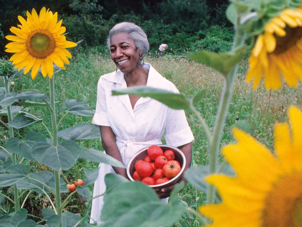 A Black women in a white outfit surrounded by tall yellow sunflowers holds a basket of tomatoes