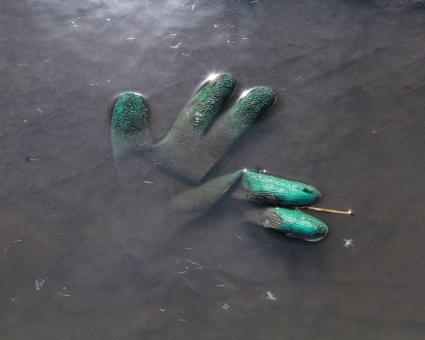 A Tableau in a Puddle thumbnail