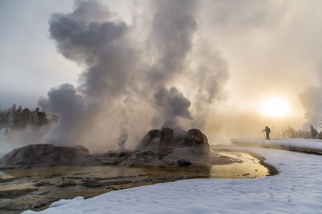 Grotto Geyser in Yellowstone National Park