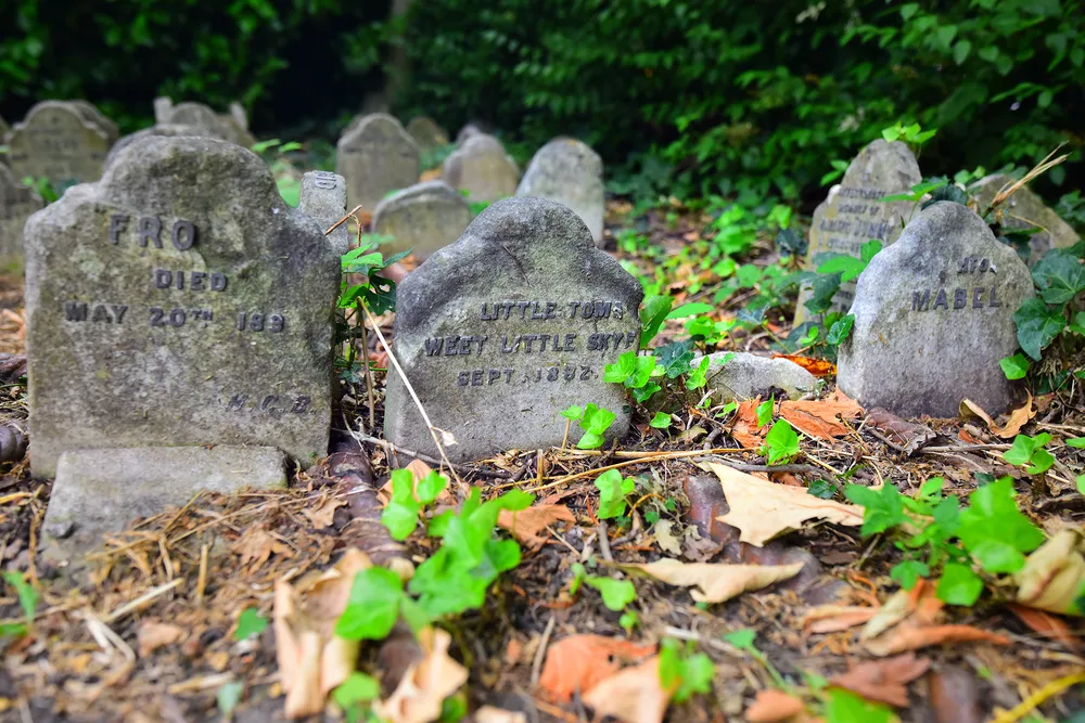 Hyde Park pet cemetery