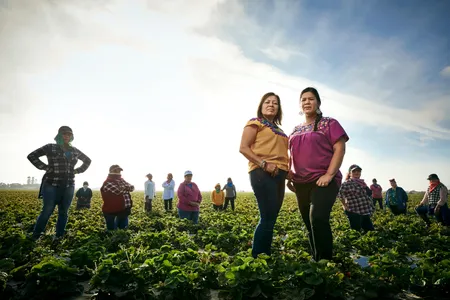 The co-founders of the Alianza Nacional de Campesinas, Mily Treviño-Sauceda and Mónica Ramírez (foreground), stand with members of Líderes Campesinas on a farm in Oxnard, California.