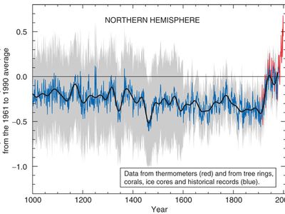 The IPCC’s famous “hocket stick” chart of global temperatures.