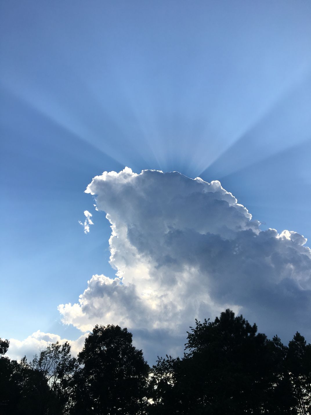 Jewel of the sky | Smithsonian Photo Contest | Smithsonian Magazine