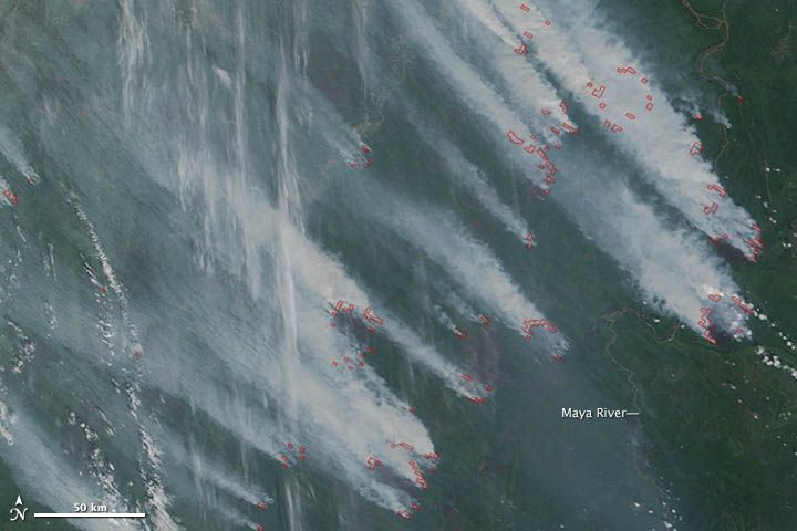 Siberia fires 2012