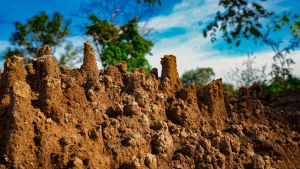 Sand Towers Carved by the Rain drops thumbnail