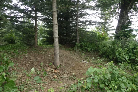 The cache pit was discoverd on a hill overlooking the Knik Arm, a thin brach of the Gulf of Alaska.