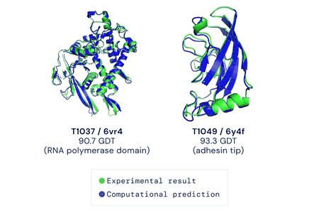 AlphaFold's protein structure in blue is shown overlaid with the lab results in green for two kinds of proteins. 