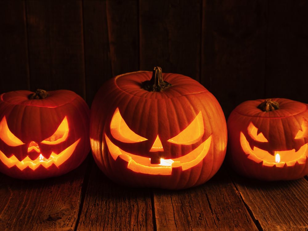 Three Carved Pumpkins