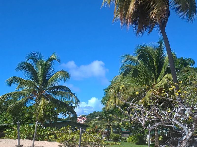 Lance Aux Epines Beach, Grenada, West Indies Smithsonian Photo