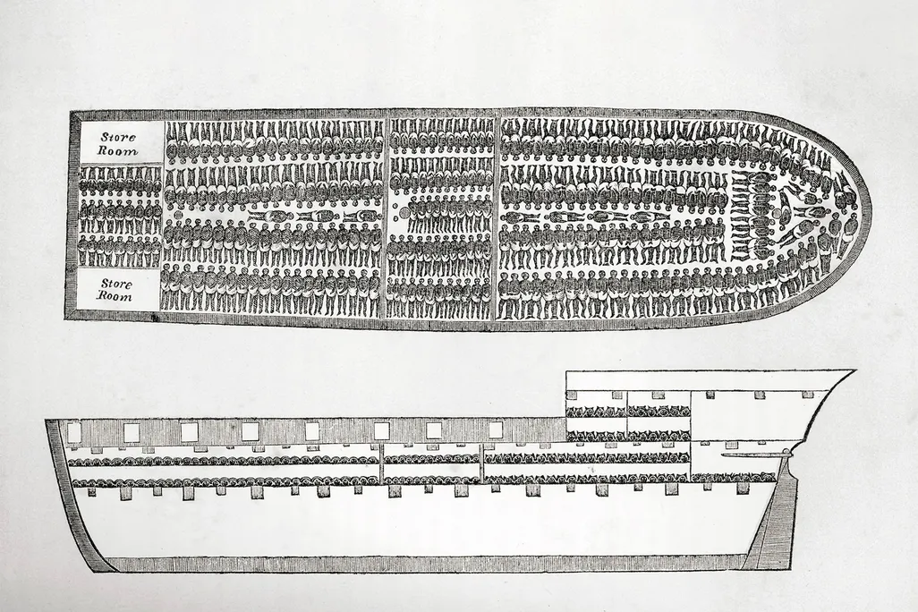 Slave ship diagram